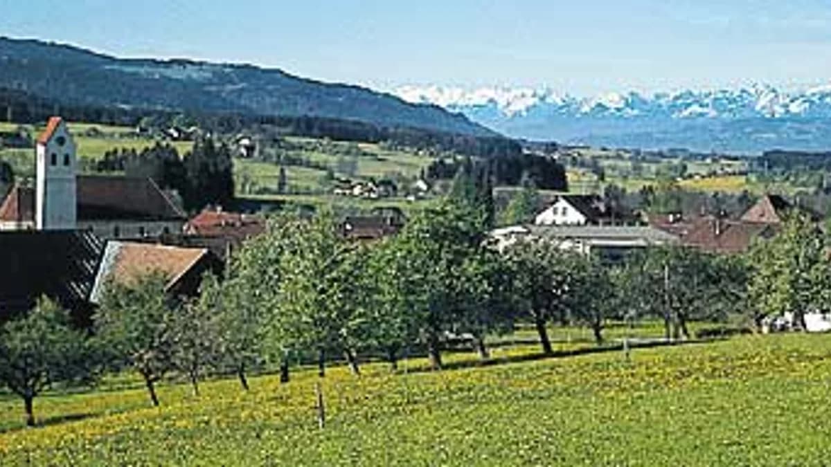 Stadtansicht von Hergatz
