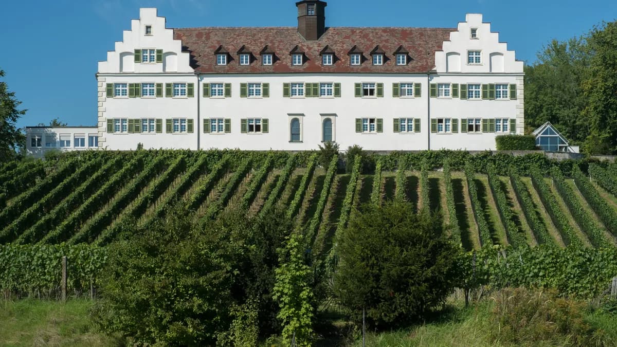Stadtansicht von Immenstaad am Bodensee