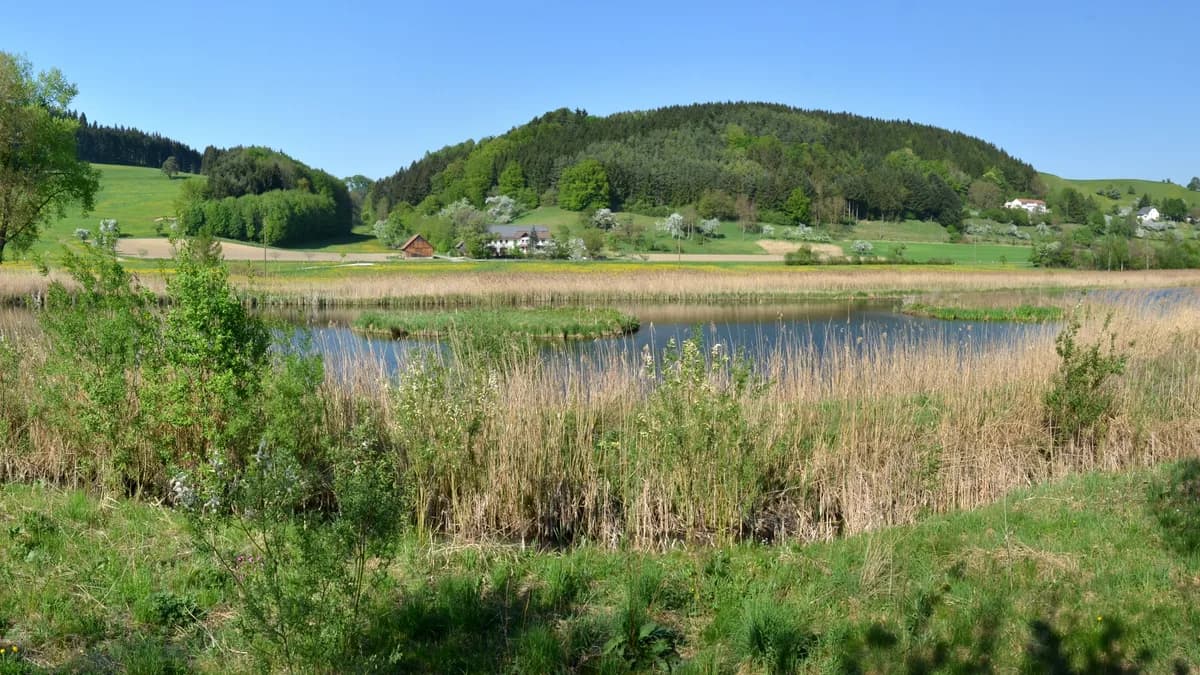 Stadtansicht von Owingen